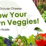 Grouse Cheese: The Ultimate Guide to This Unique Delicacy
