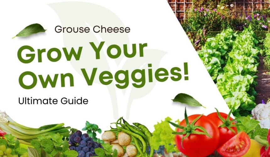 Grouse Cheese: The Ultimate Guide to This Unique Delicacy